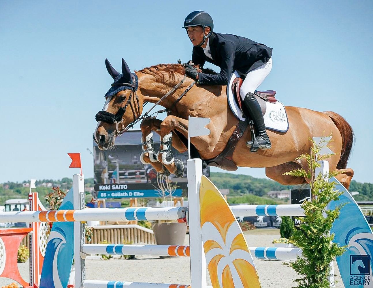 Equestrian jumping over colorful hurdle, rider in black attire on brown horse, outdoor setting.